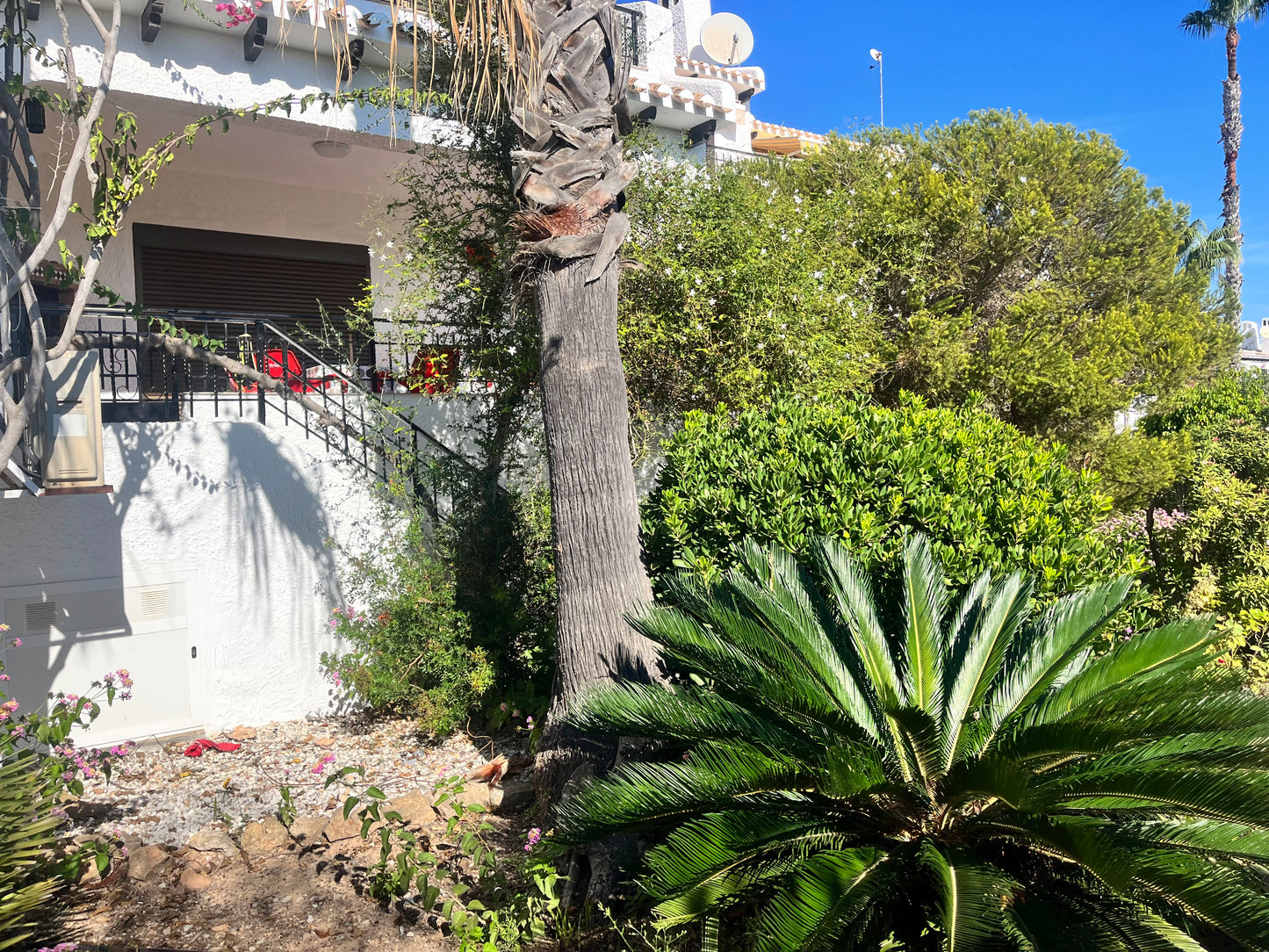 3 Bedrooms Duplex For Sale in Cabo Roig