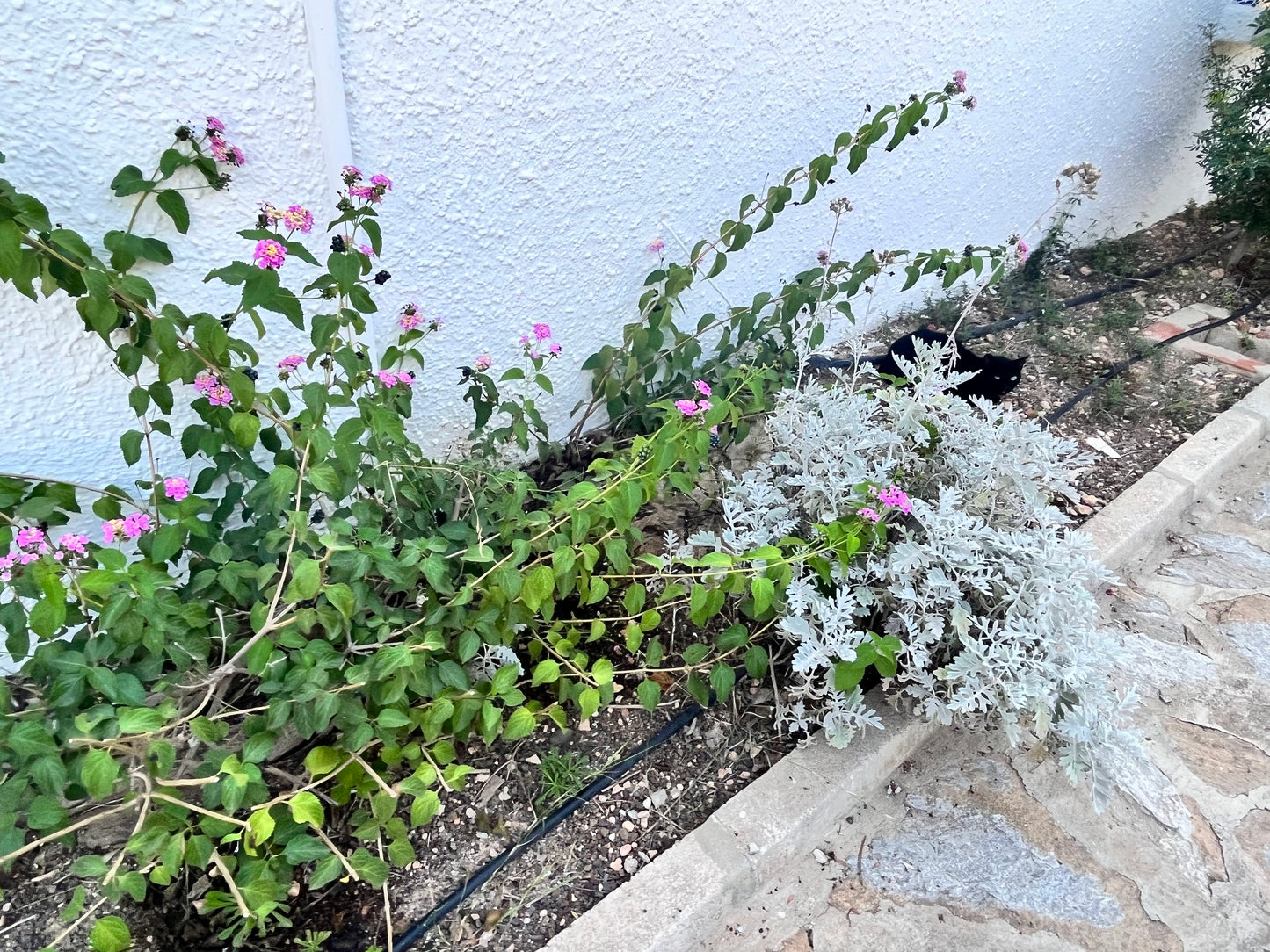 3 Bedrooms Duplex For Sale in Cabo Roig