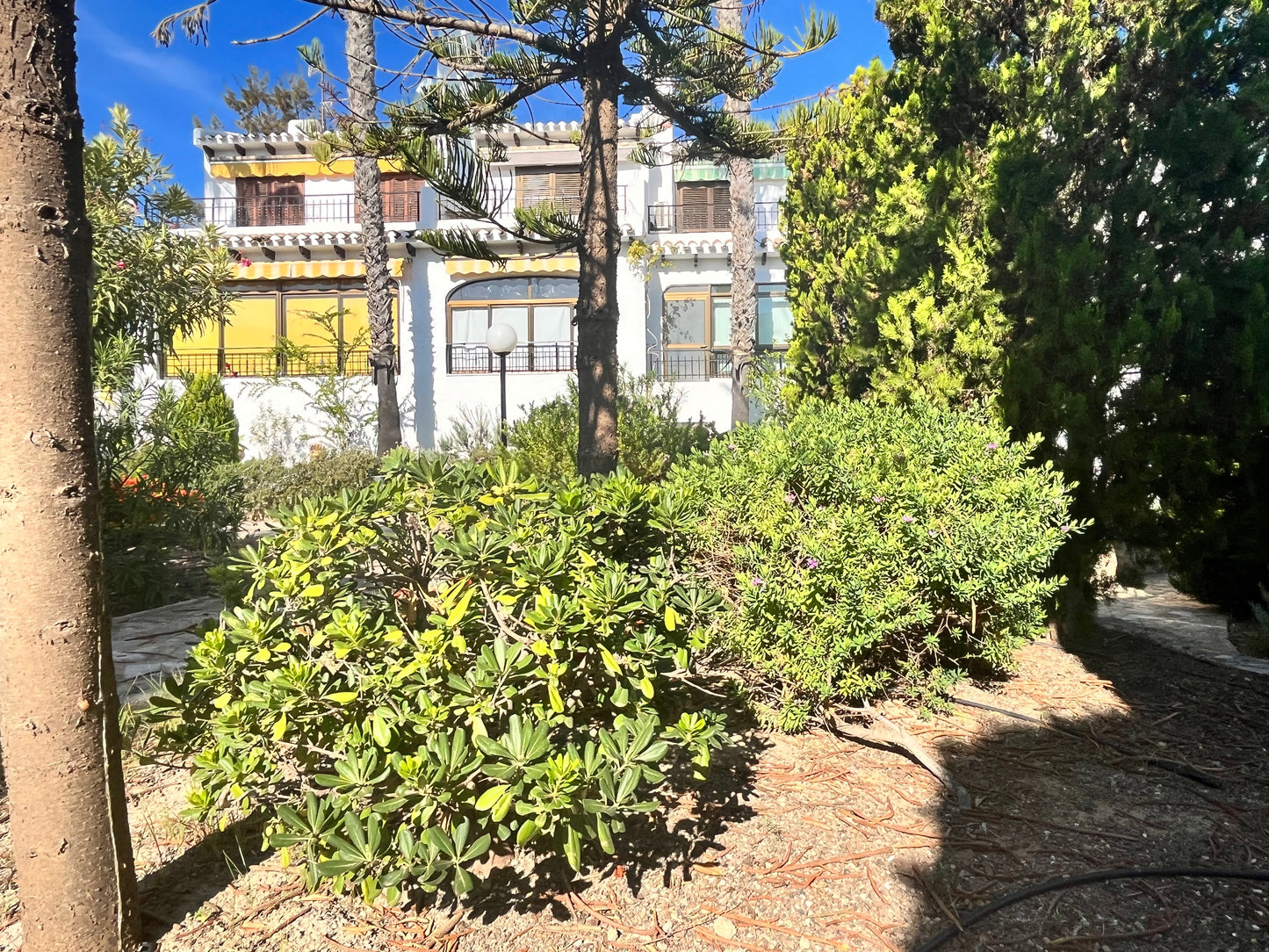 3 Bedrooms Duplex For Sale in Cabo Roig