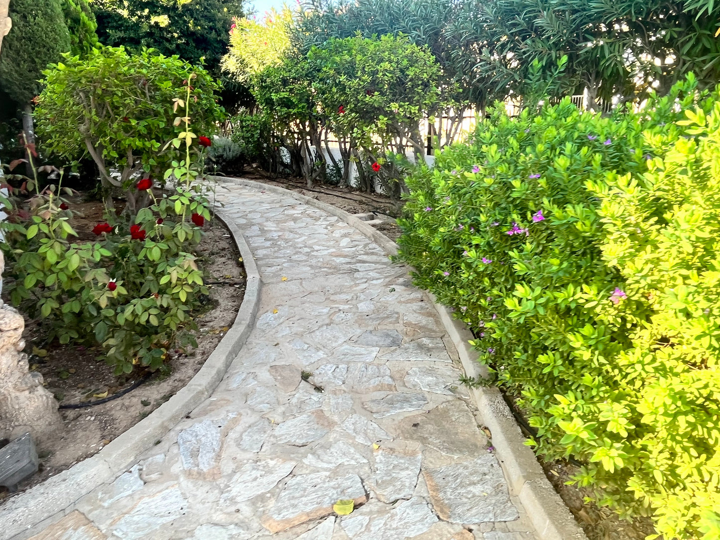 3 Bedrooms Duplex For Sale in Cabo Roig